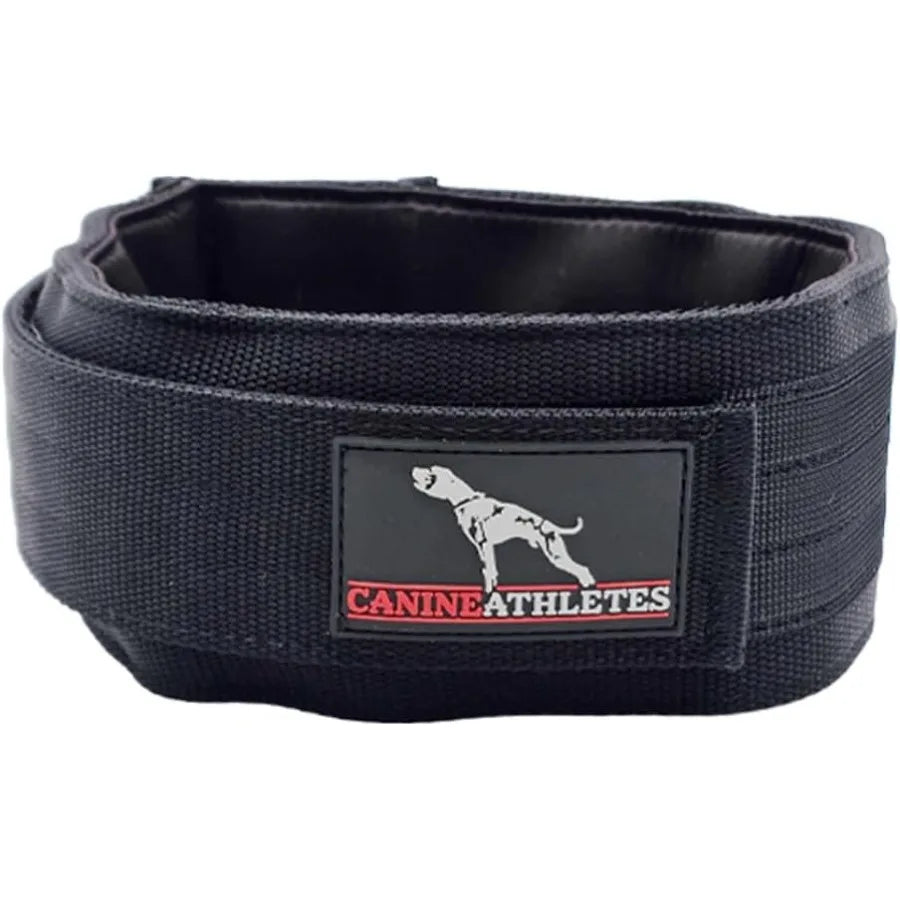 XMSJCN Elite HD Weighted Working Dog Collar For Training
