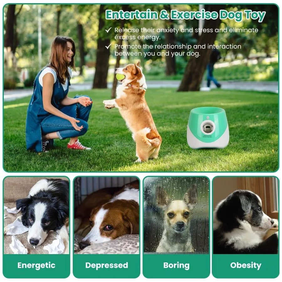 Automatic Dog Ball Launcher With 6 Tennis Balls For Fetch