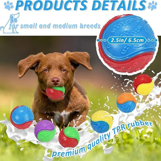 Squeaky Dog Ball Toy TPR Interactive High Bounce For Dogs