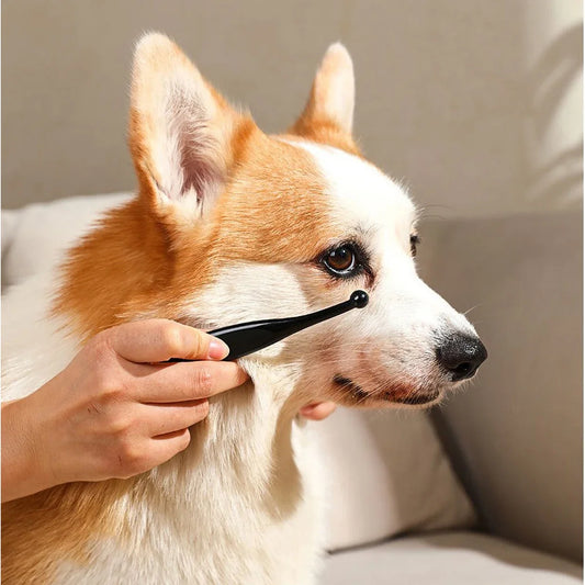 Anti Static Pet Tear Brush Grooming Tool For Cats And Dogs Eye Protection