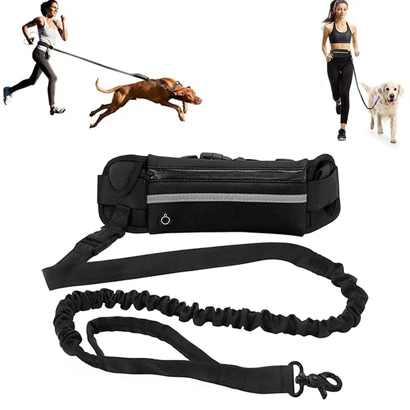 Hands Free Dog Leash With Reflective Waist Bag Retractable