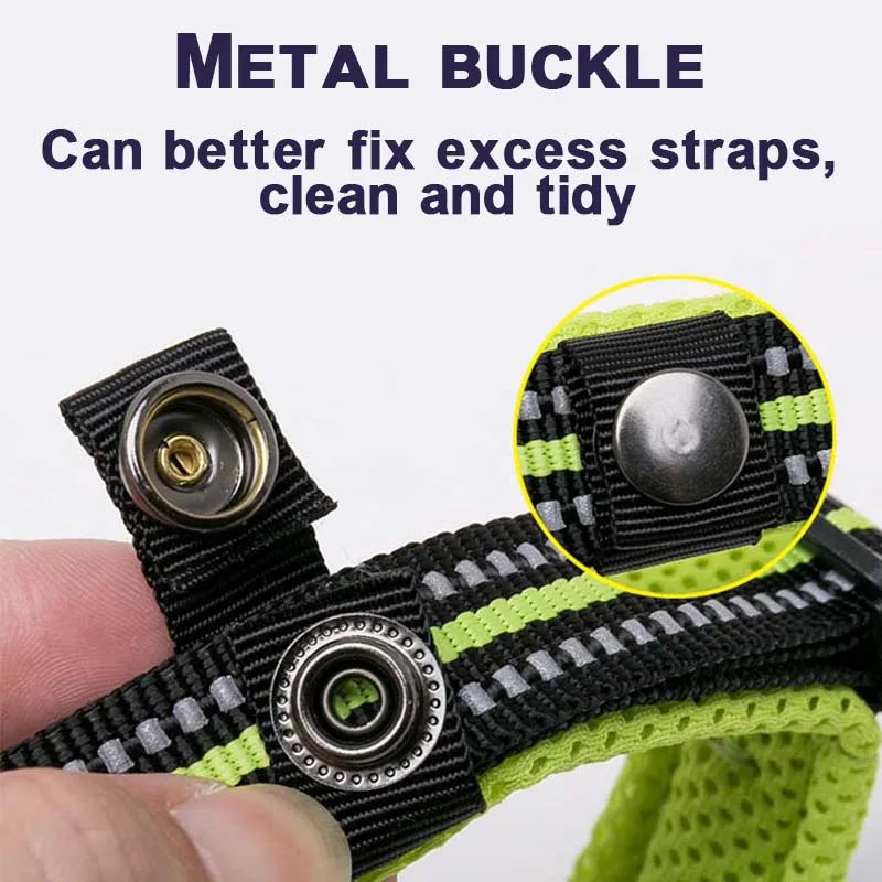 Winhyepet Dog Walking Collar Padded Comfort Nylon Durable Travel