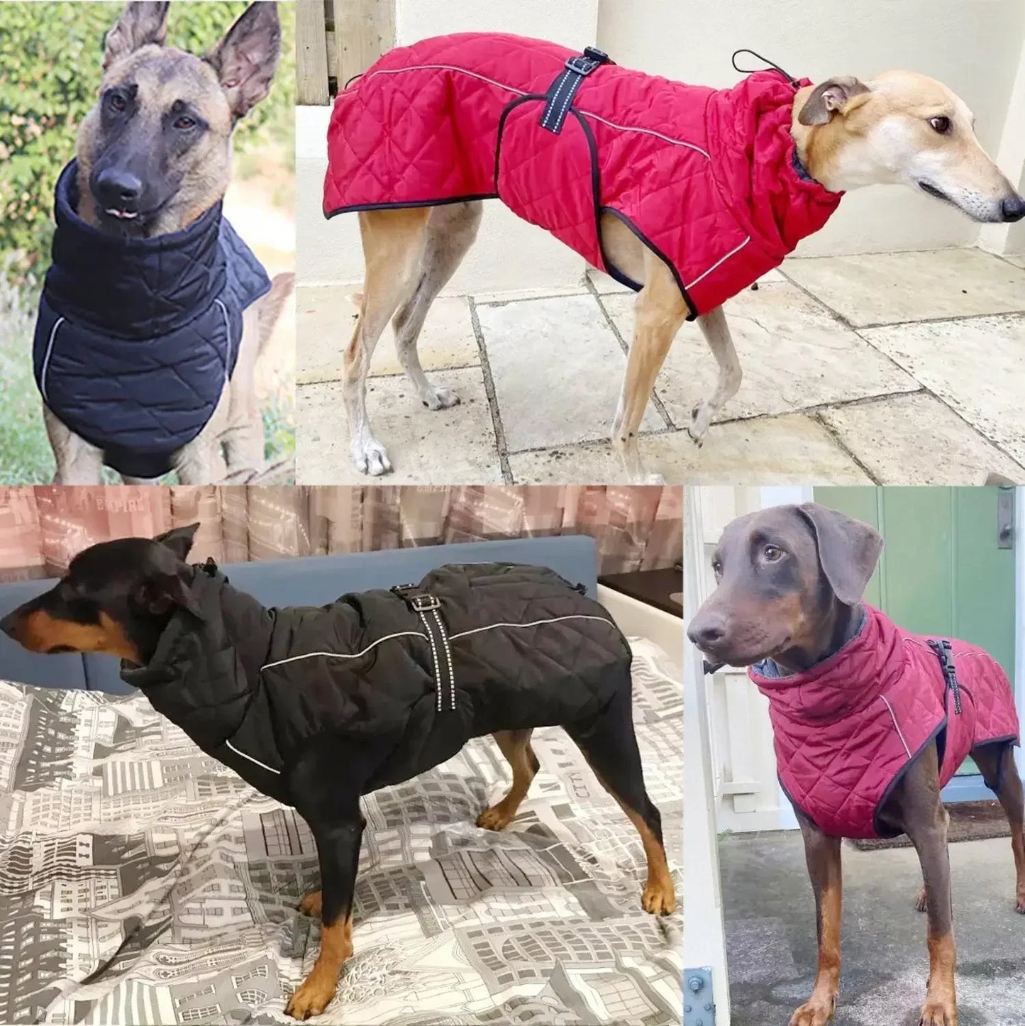 NONECN Waterproof Reflective Dog Outdoor Jacket For Large Breeds