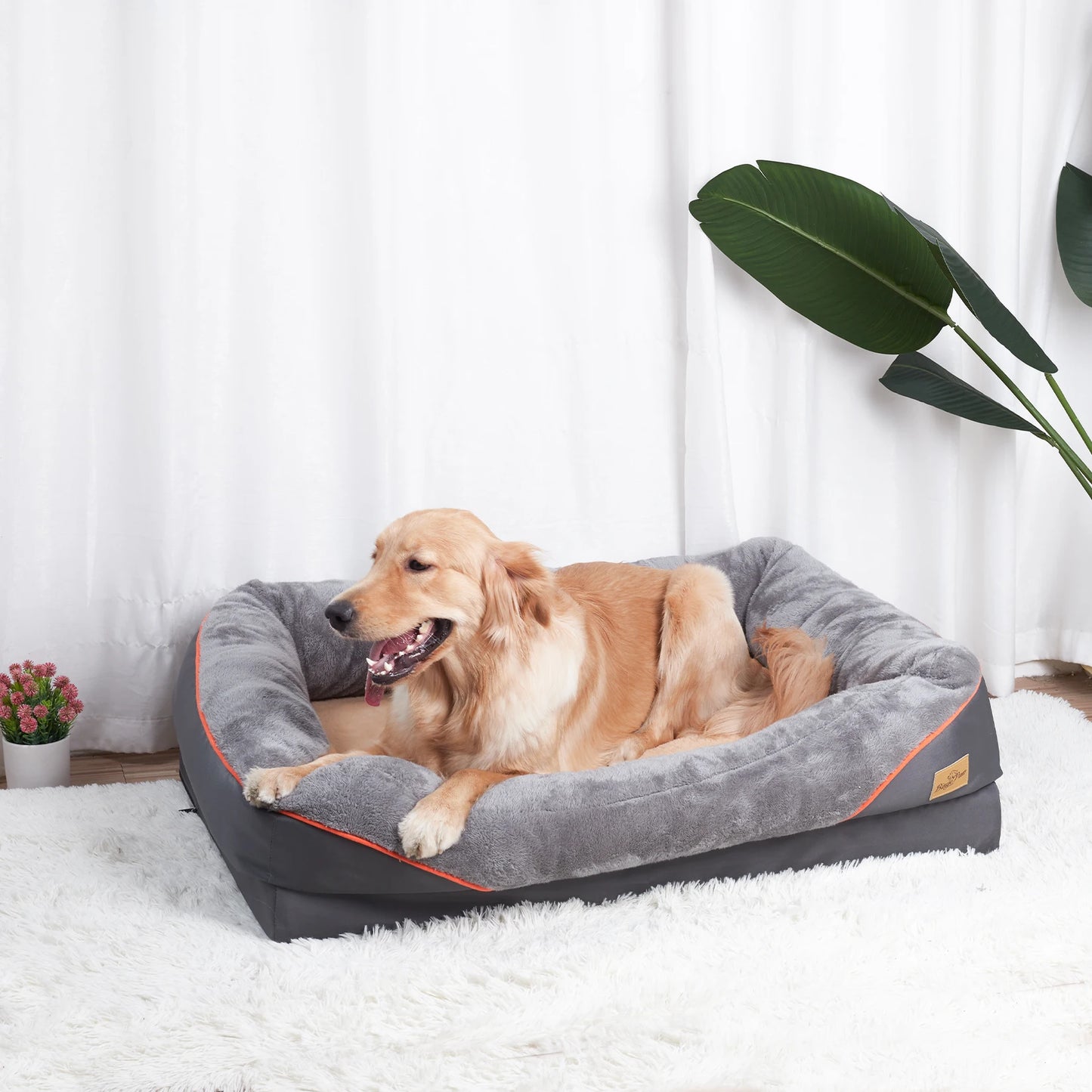BINGOPAW Dog Bed With Removable Washable Cover Anti Allergy Waterproof