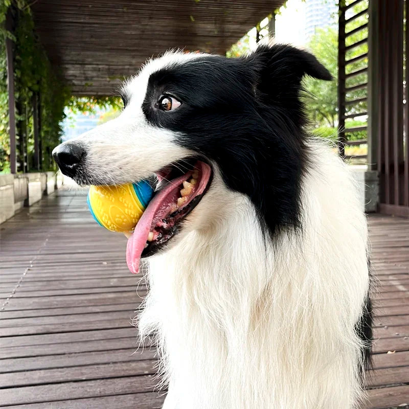 Squeaky Dog Ball Toy TPR Interactive High Bounce For Dogs