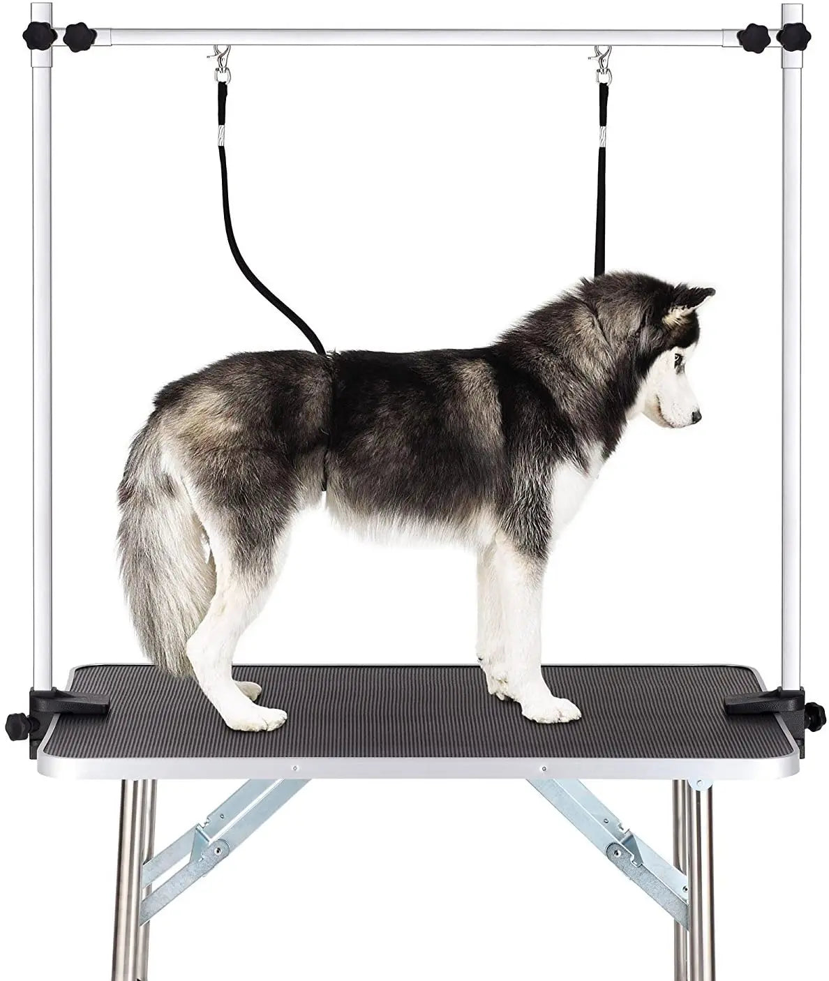Professional Dog Grooming Table With Arm Noose And Mesh Tray