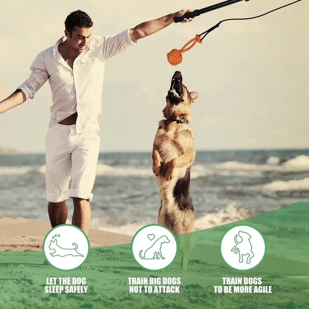 Interactive Dog Toy Extendable Flirt Pole For Dogs Outdoor Training