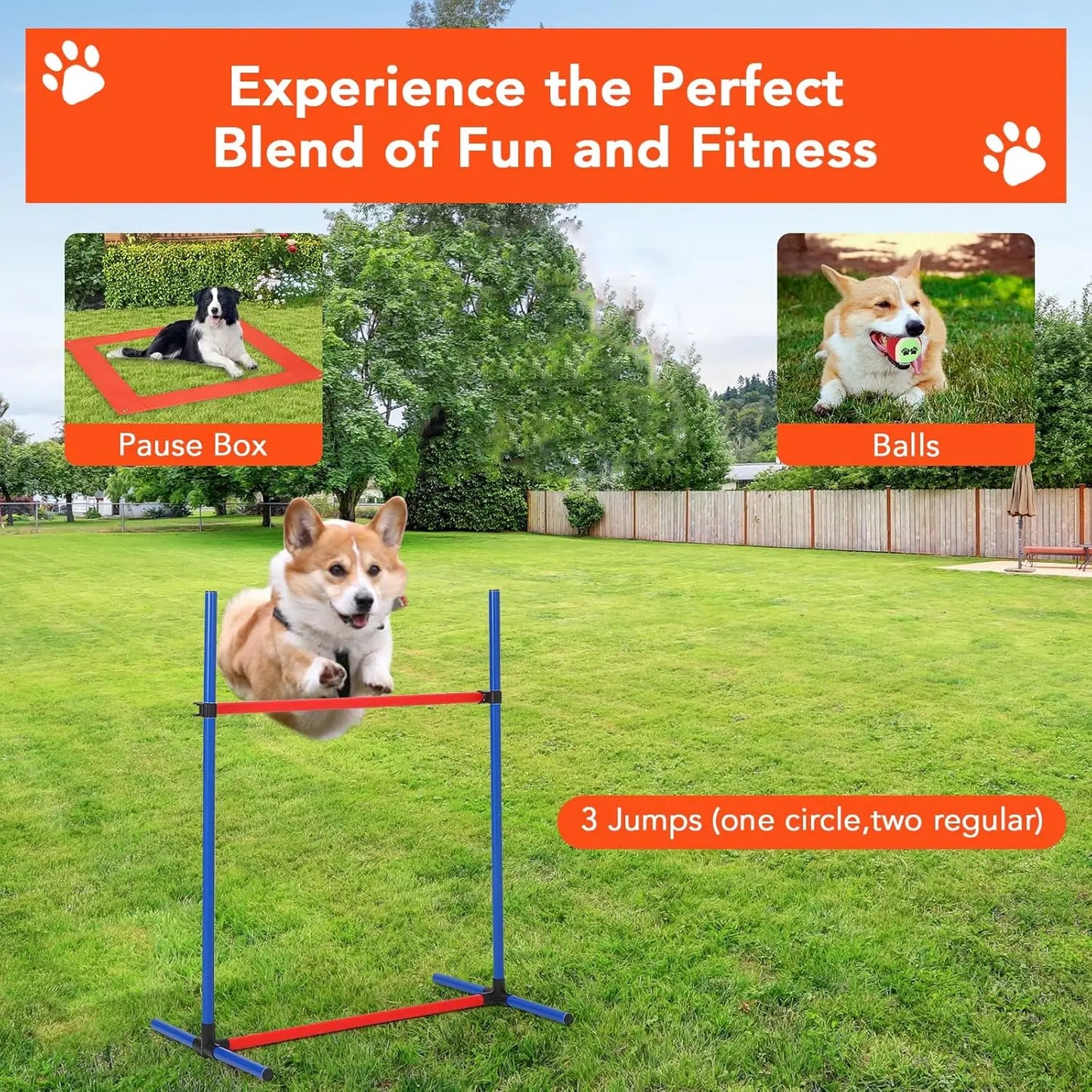HiMISS 87 Piece Dog Agility Training Equipment Kit Obstacle Course