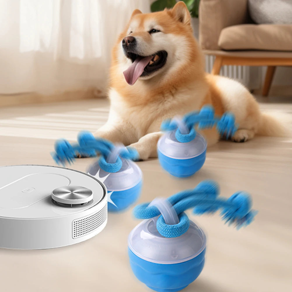 APWIKOGERE Electric Rolling Ball Dog Toy With Rope 3 Modes