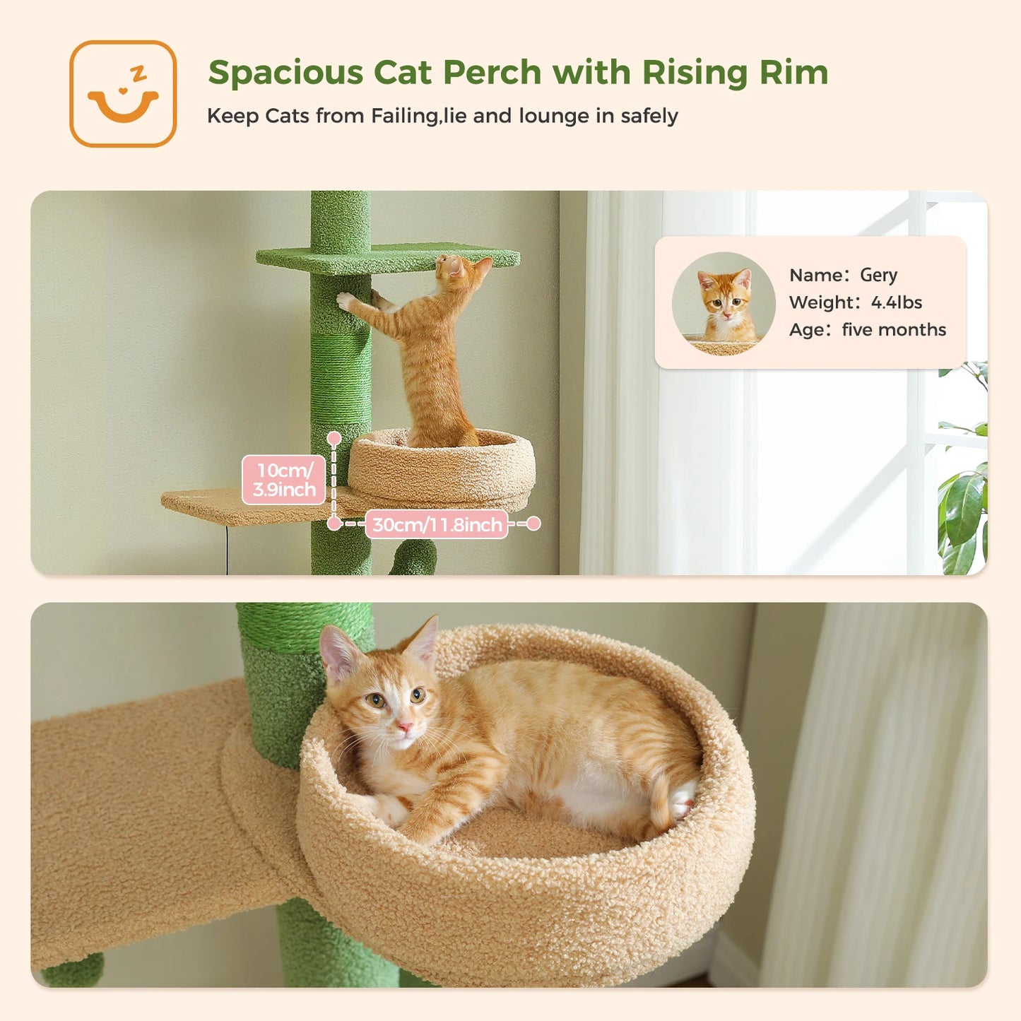 PEQULTICN Adjustable Height Cactus Cat Tree Floor To Ceiling