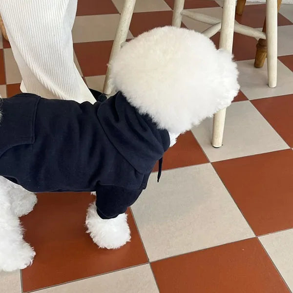 CN Sichuan Zhejiang Winter Hoodie for Dogs Fashion Plush Coat