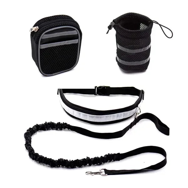 Reflective Dog Leash Set With Comfortable Handle And Durable Build