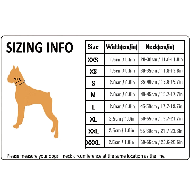 Winhyepet Dog Walking Collar Padded Comfort Nylon Durable Travel