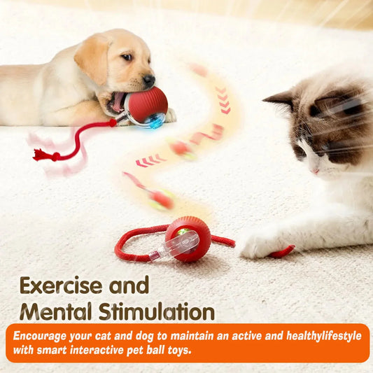 Rechargeable Automatic Rolling Dog Ball Toy for Interactive Play